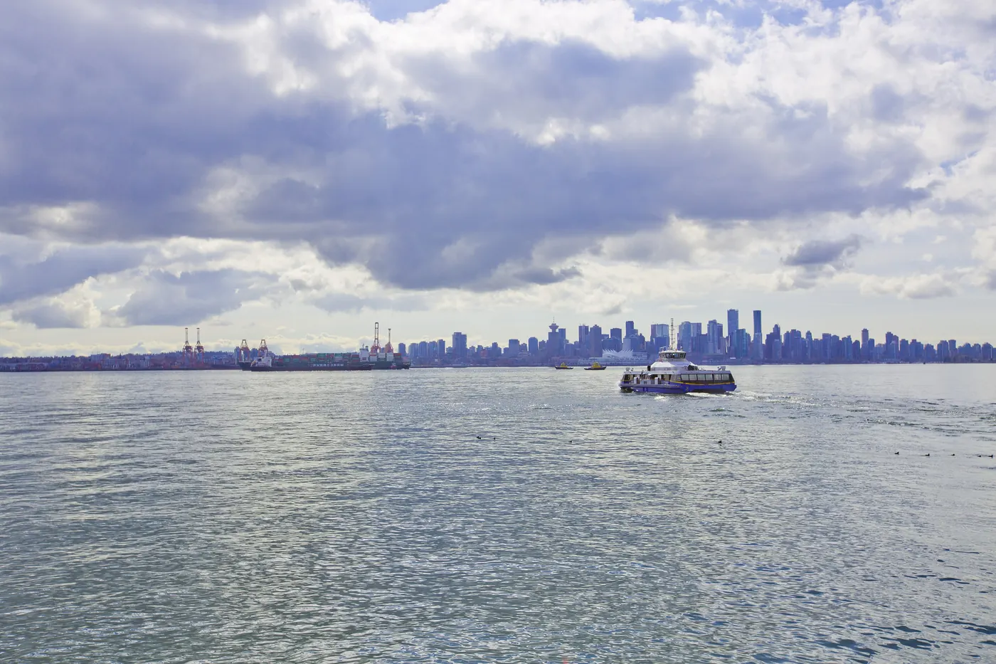 View of downtown Vancouver across the harbour from Lonsdale Quay