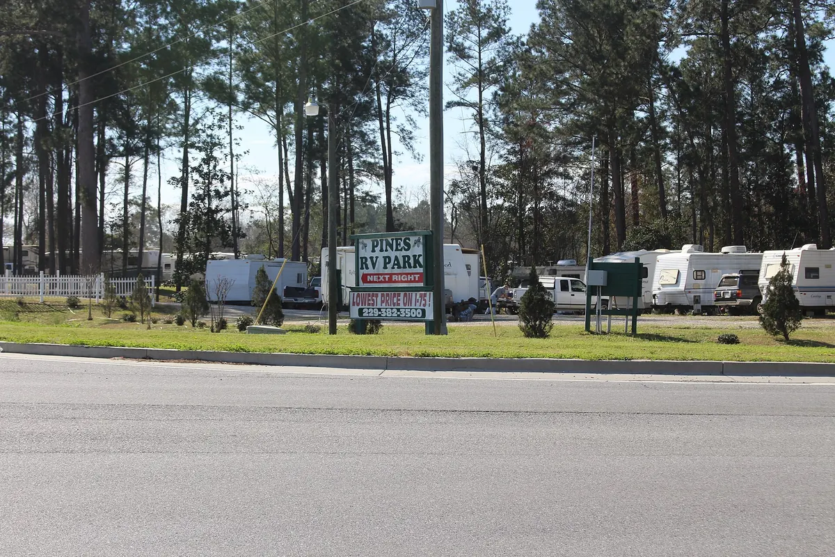 RVs parked among tall trees at a campground